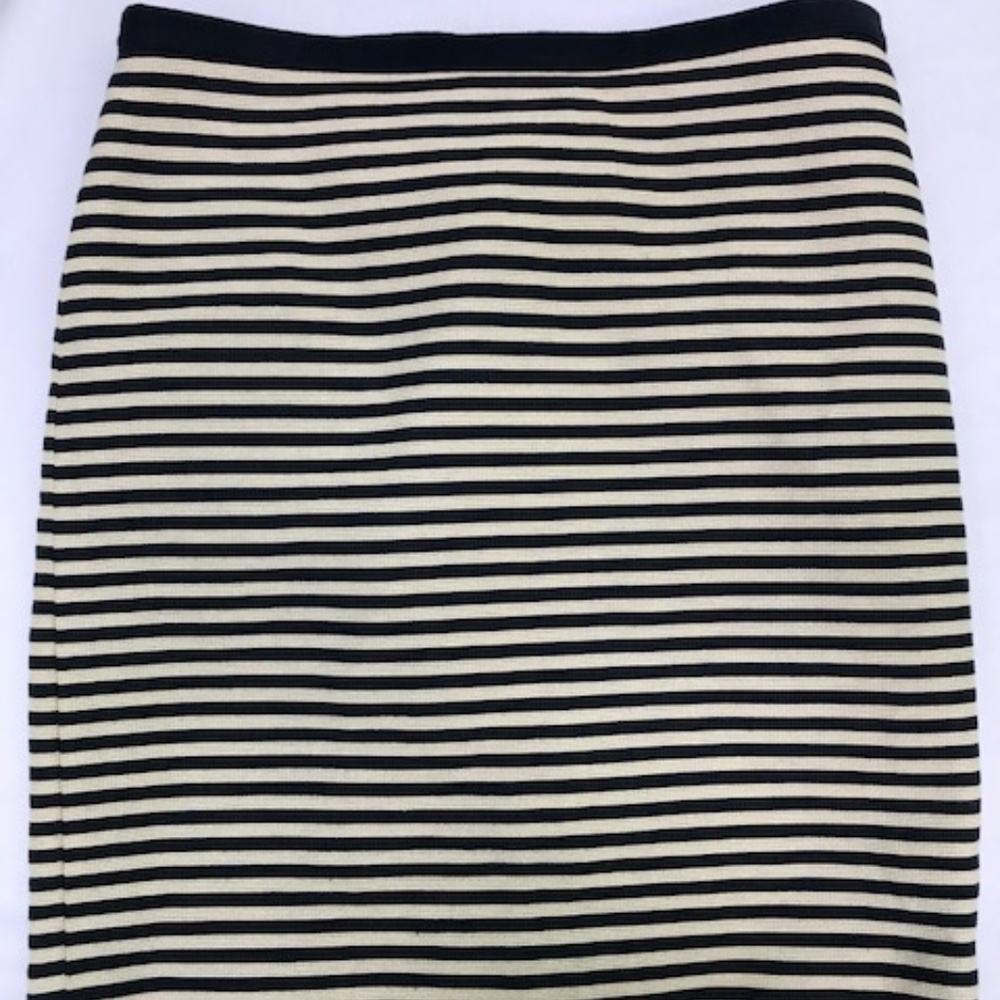 Ann Taylor Loft Blue and Beige Striped Skirt - Picture 3 of 5
